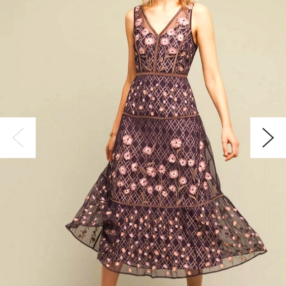 Anthropologie Dresses & Skirts - Moulinette Soeurs flowy floral embroidered Tansey Tulle midi dress Anthro